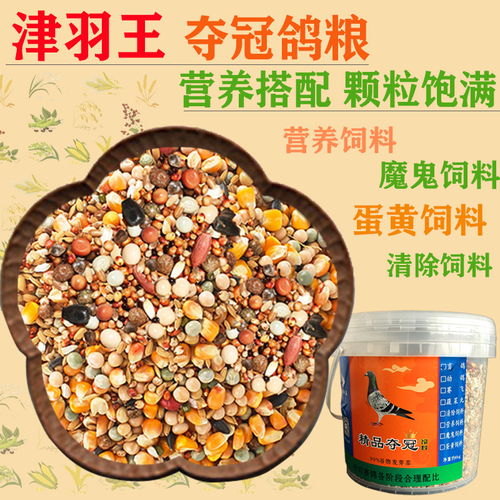 天津羽王鸽具 专注鸽粮品质，助力赛鸽飞翔——优选赛鸽用品与粮食