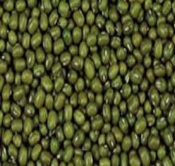 海亮粮食加盟招商 开启重庆食品行业新蓝海