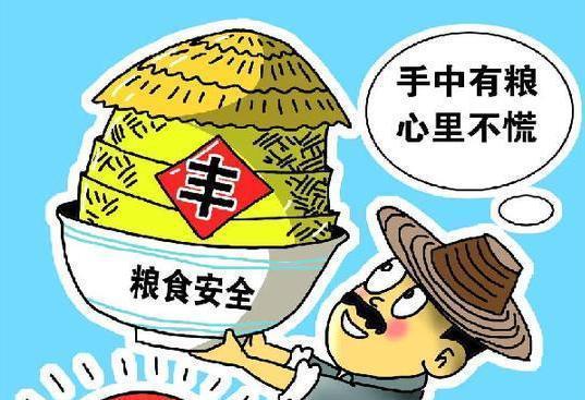粮食安全的多维布局 理性看待“退林还耕”策略